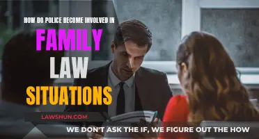 Police Intervention in Family Law: When and Why?