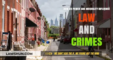 Power, Inequality, and the Law: Unraveling Crime's Complex Dynamics