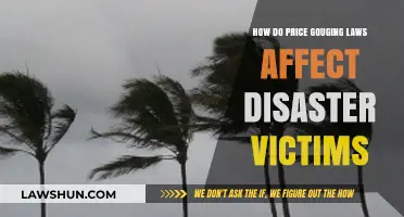 Price Gouging Laws: Impact on Disaster Victims' Recovery and Resilience