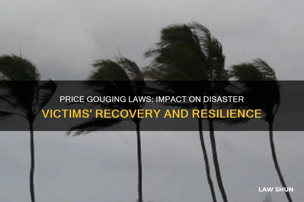 how do price gouging laws affect disaster victims