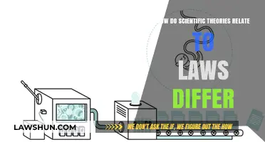 Scientific Theories vs. Laws: Understanding Their Distinct Roles and Relationships