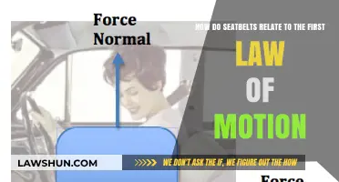 Seatbelts and the First Law of Motion: Staying in Place