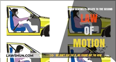 Seatbelts and Newton's Second Law: Understanding Inertia in Motion
