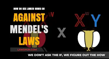 Sex-Linked Genes: Challenging Mendel's Laws of Inheritance