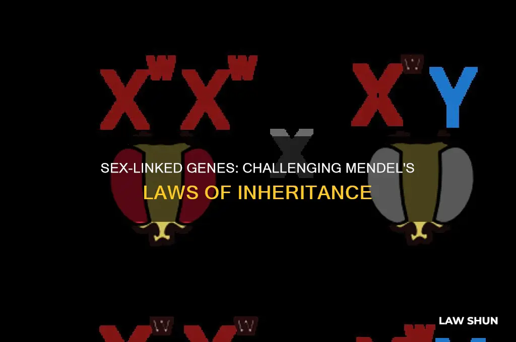 how do sex linked genes go against mendel