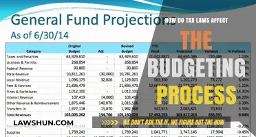 Tax Laws: Budgeting's Unseen Influence