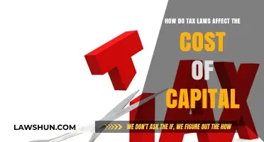 Tax Laws: Impacting Capital Costs and Business Strategies