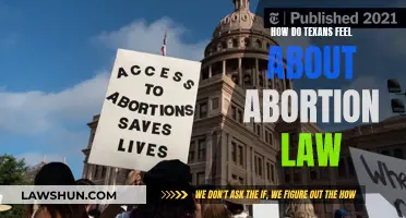 Texans' Abortion Law: A Complex Emotional Divide