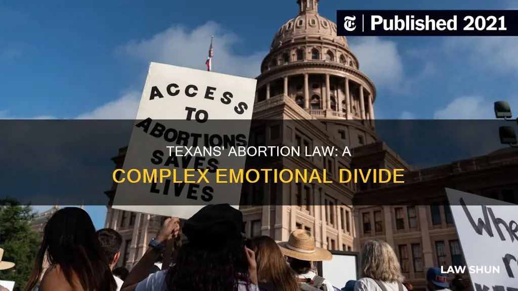 how do texans feel about abortion law