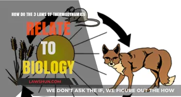 Thermodynamics Meets Biology: Exploring Energy, Entropy, and Life's Laws