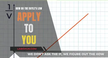 Boyle's Law: Understanding the Air We Breathe