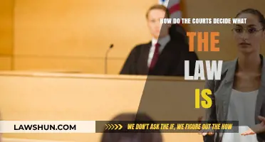 How Courts Interpret and Determine the Law: A Comprehensive Guide