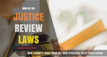 Understanding Justice Review Laws: A Comprehensive Guide to Legal Processes