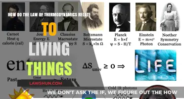 Thermodynamics and Life: Unraveling Energy's Role in Living Systems