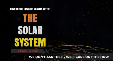 Gravity's Grip: Shaping Orbits and Dynamics in Our Solar System