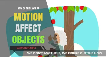 Understanding Motion's Impact: How Laws of Motion Shape Object Behavior