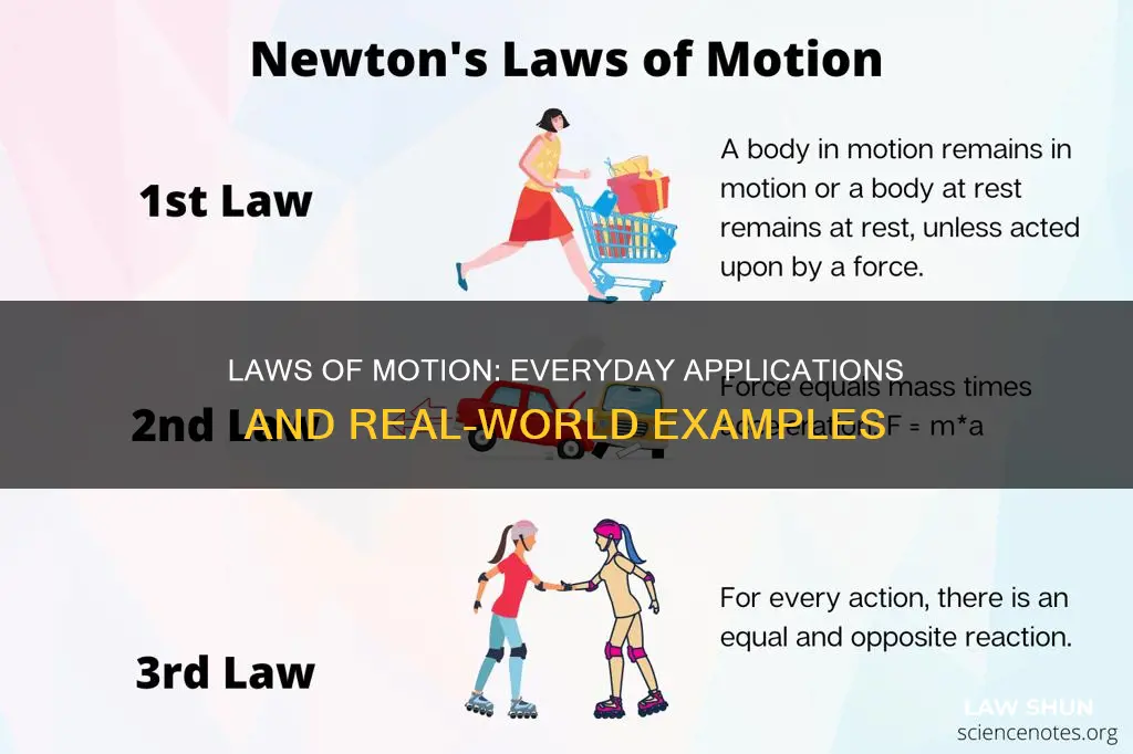 how do the laws of motion apply to everyday life