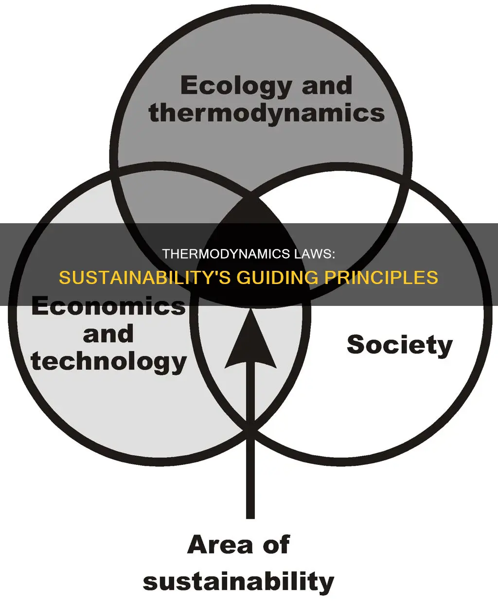 how do the laws of thermodynamics apply to sustainability