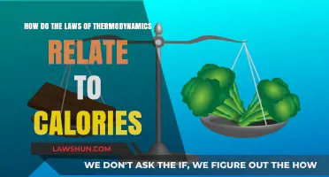 Thermodynamics and Calories: Unraveling the Science Behind Energy Balance
