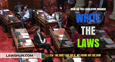 How the Legislative Branch Crafts and Enacts Laws: A Comprehensive Guide