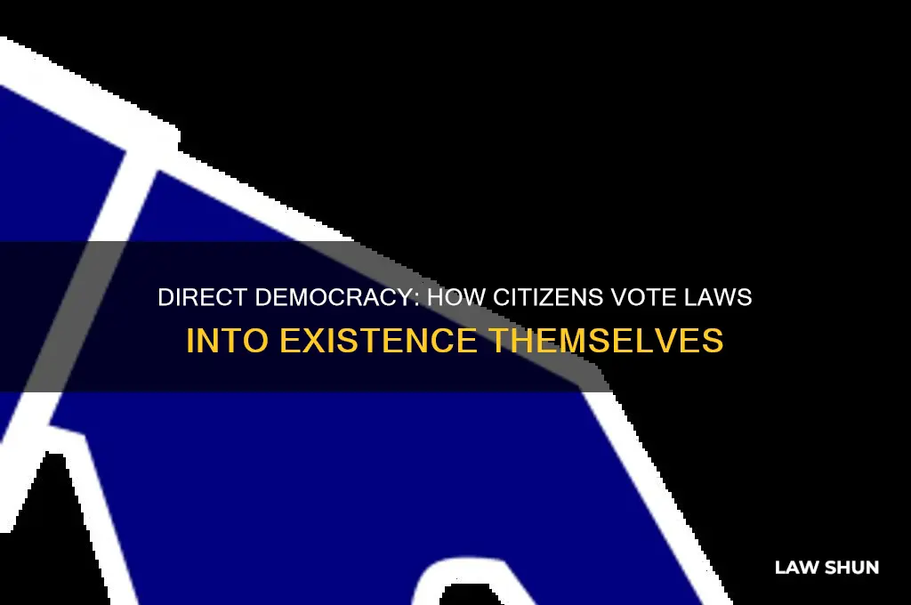 how do the people vote something into law themselves