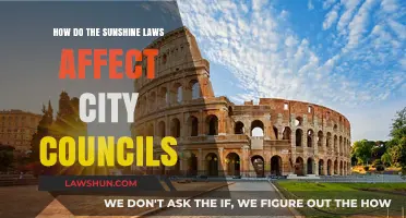Sunshine Laws: Empowering Transparency in City Council Decision-Making