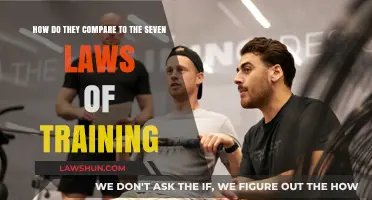 Training Principles: Comparing Modern Methods to the Seven Laws