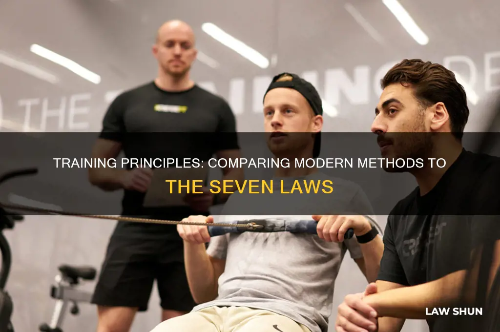 how do they compare to the seven laws of training