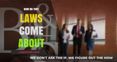 The Evolution of Tort Laws: Origins and Development Explained
