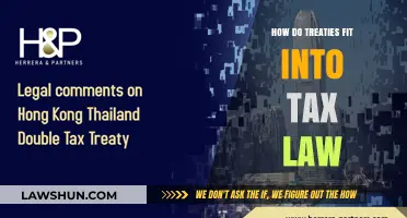 Treaty Law: Tax Implications and International Relations