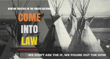 Understanding the Legal Journey of UN Treaties into International Law