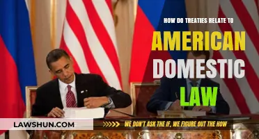 Treaties and U.S. Law: Understanding Their Domestic Legal Impact