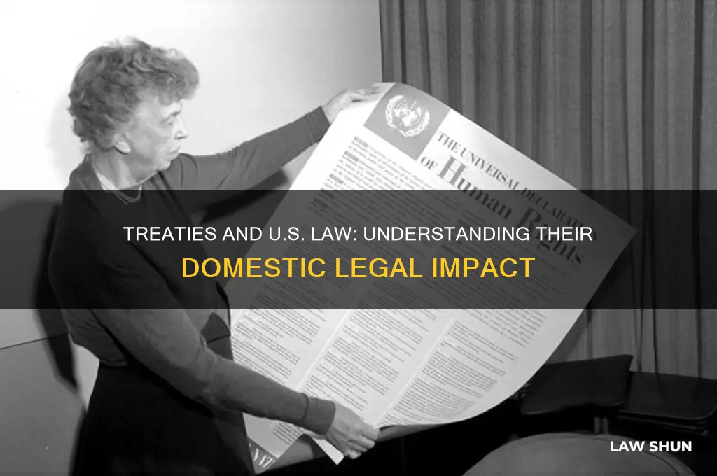 how do treaties relate to american domestic law