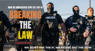 Undercover Cops: Navigating Law-Breaking Operations