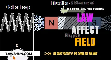 Faraday's Law Voltage Impact on Electromagnetic Fields Explained