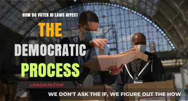 Voter ID Laws: Impact on Democracy and Civic Participation