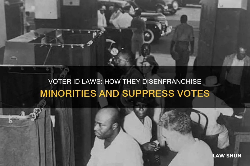 how do voter id laws disenfranchise minorities