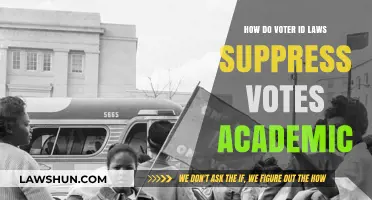 Voter ID Laws: Academic Insights on Suppression and Democracy