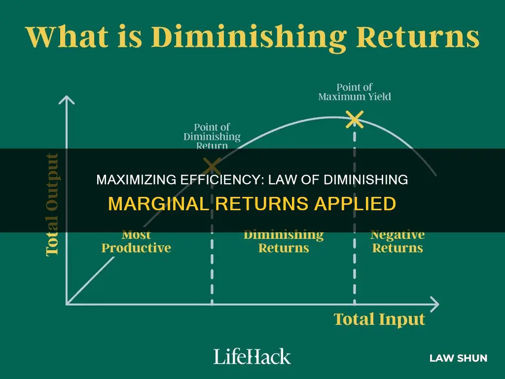 how do we apply law of diminishing marginal returns