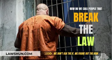 The Lawbreakers: Understanding Criminal Behavior and Motives