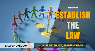 Establishing the Law: A Comprehensive Guide to Legal Foundations