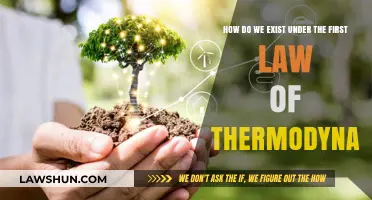 The First Law of Thermodynamics: Our Existence Explained