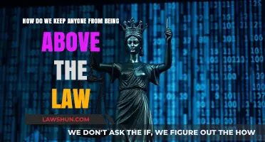 Ensuring Equality: How to Keep Everyone Accountable Under the Law