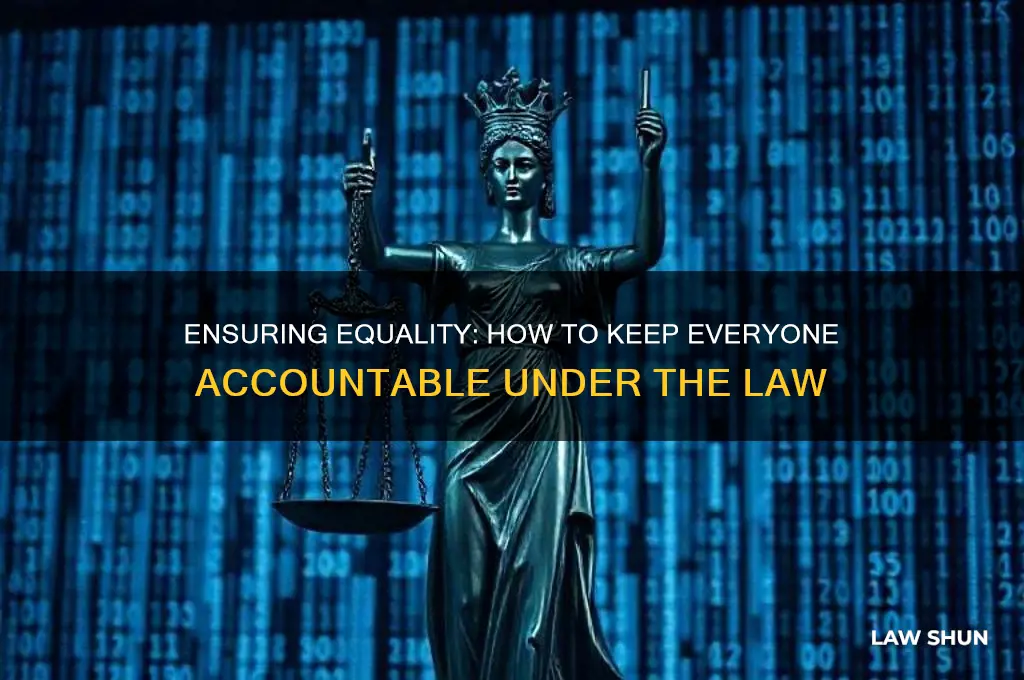 how do we keep anyone from being above the law
