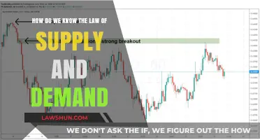 Understanding Supply and Demand: Evidence and Real-World Applications