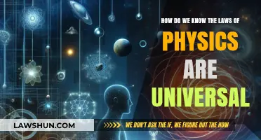 The Universal Laws of Physics: How Can We Know?