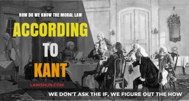 Understanding Kant's Moral Law: A Guide to Universal Ethical Principles