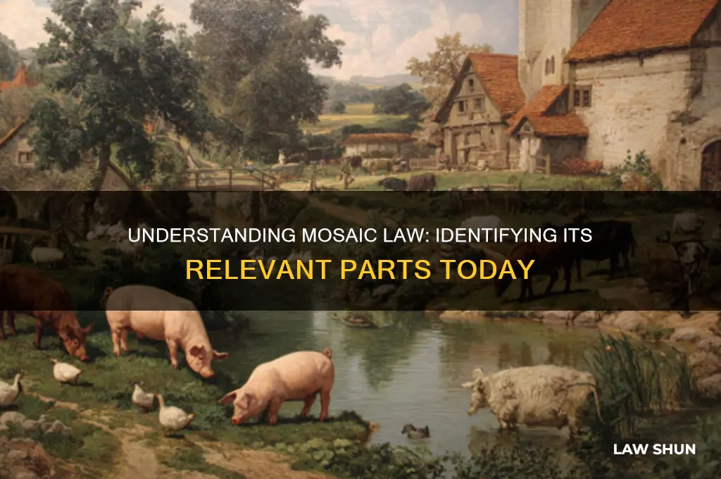 how do we know what part of mosaic law is