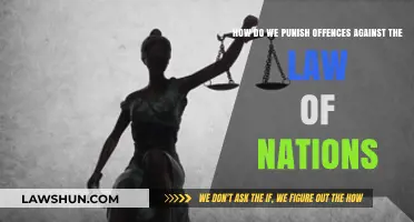 Punishing International Crimes: Upholding Justice for Offences Against Humanity