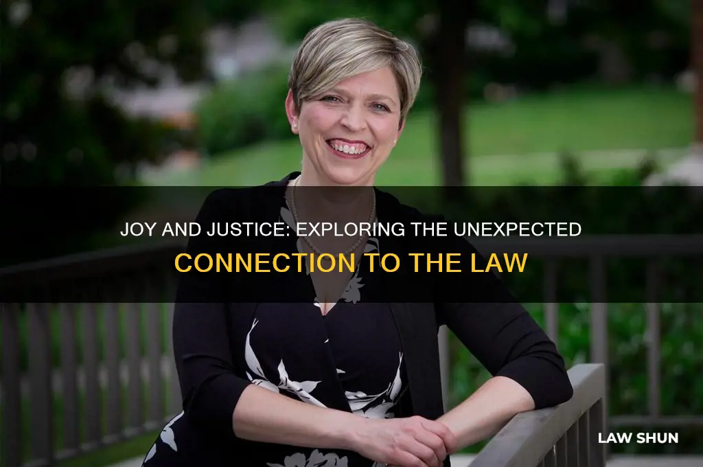how do we relate joy to the law